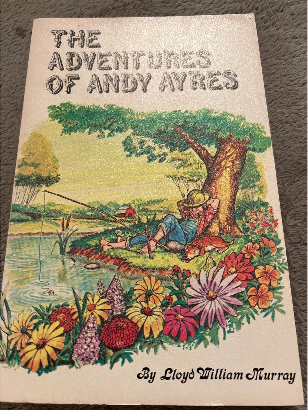 The Adventures of Andy Ayres by Lloyd William Murray - Vintage 1982 Hardcover